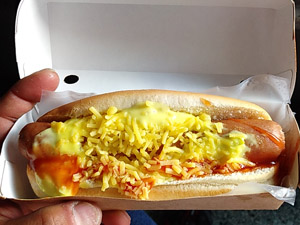 �@���̗l�q