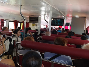 �D���̗l�q