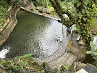 �^�}���E�̑�