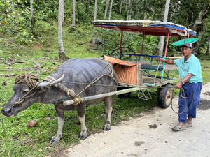 �����W�����O���c�A�[