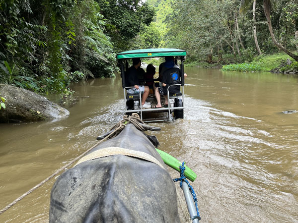 �����W�����O���c�A�[