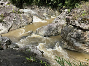 �����W�����O���c�A�[