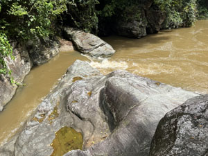 �����W�����O���c�A�[