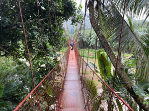 �����W�����O���c�A�[