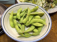 ����̗���