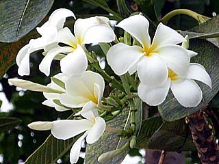 Happy Diveshop�ɍ炭�v�������A