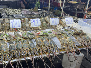 �i�C�g�}�[�P�b�g