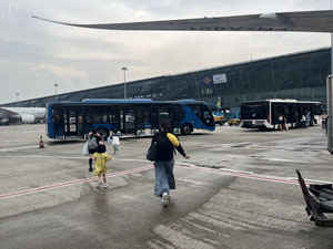 �C�m�C�o���ۋ�`