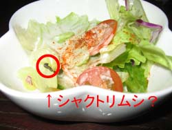 �����i�܂݁j