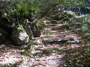 鏡石からの登山道。