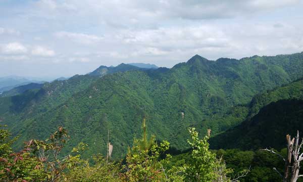 三笠山からの眺め
