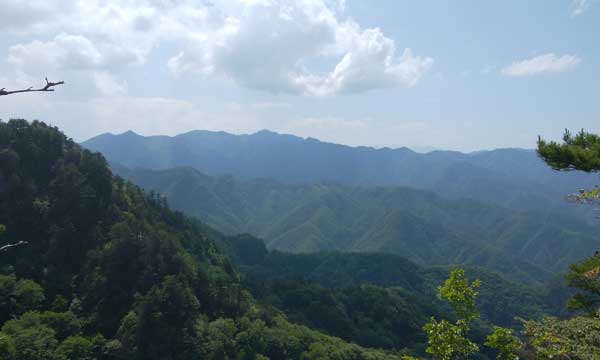 三笠山からの眺め