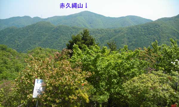 赤久縄山
