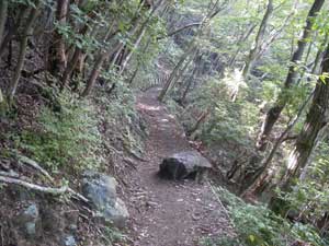 岩茸石からの登山道。