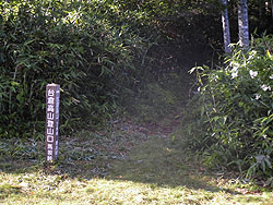 台倉高山の登山口