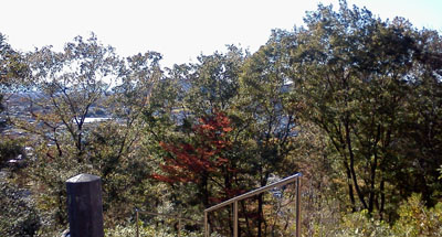 山頂(浅間神社)からの眺め