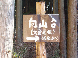 向山への標識