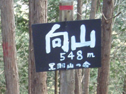 向山 山頂(548m)