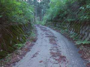 舗装された林道