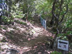 神社からの登山道。