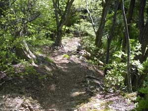天狗岩からの登山道。