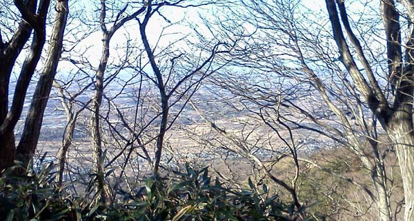 山道から見た関東平野