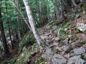 大山祇神社からの登山道