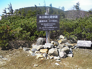 遊歩道最高地点(2150m)