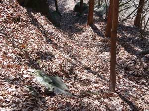 落ち葉で埋もれた登山道