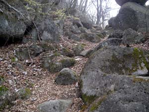 岩の多い登山道