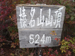  榛名山山頂(524m)