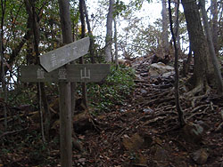 飯盛山への分岐の標識