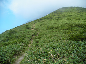 大峠からの登山道