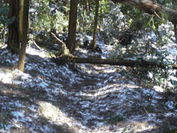 残雪の登山道