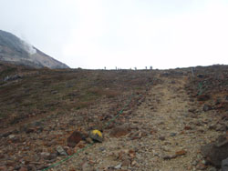 茶臼岳への登山道