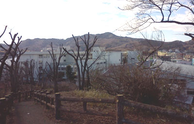 太平山と手前には栃木商業高校