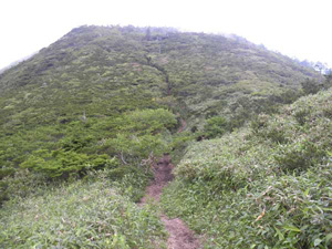 堂岩分岐からの登山道。