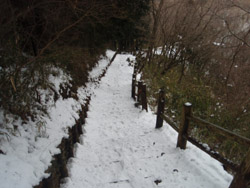 残雪の木段