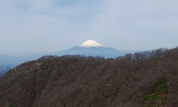 道中から見た富士山。