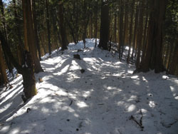雪に覆われた、登山道