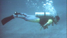Diving08